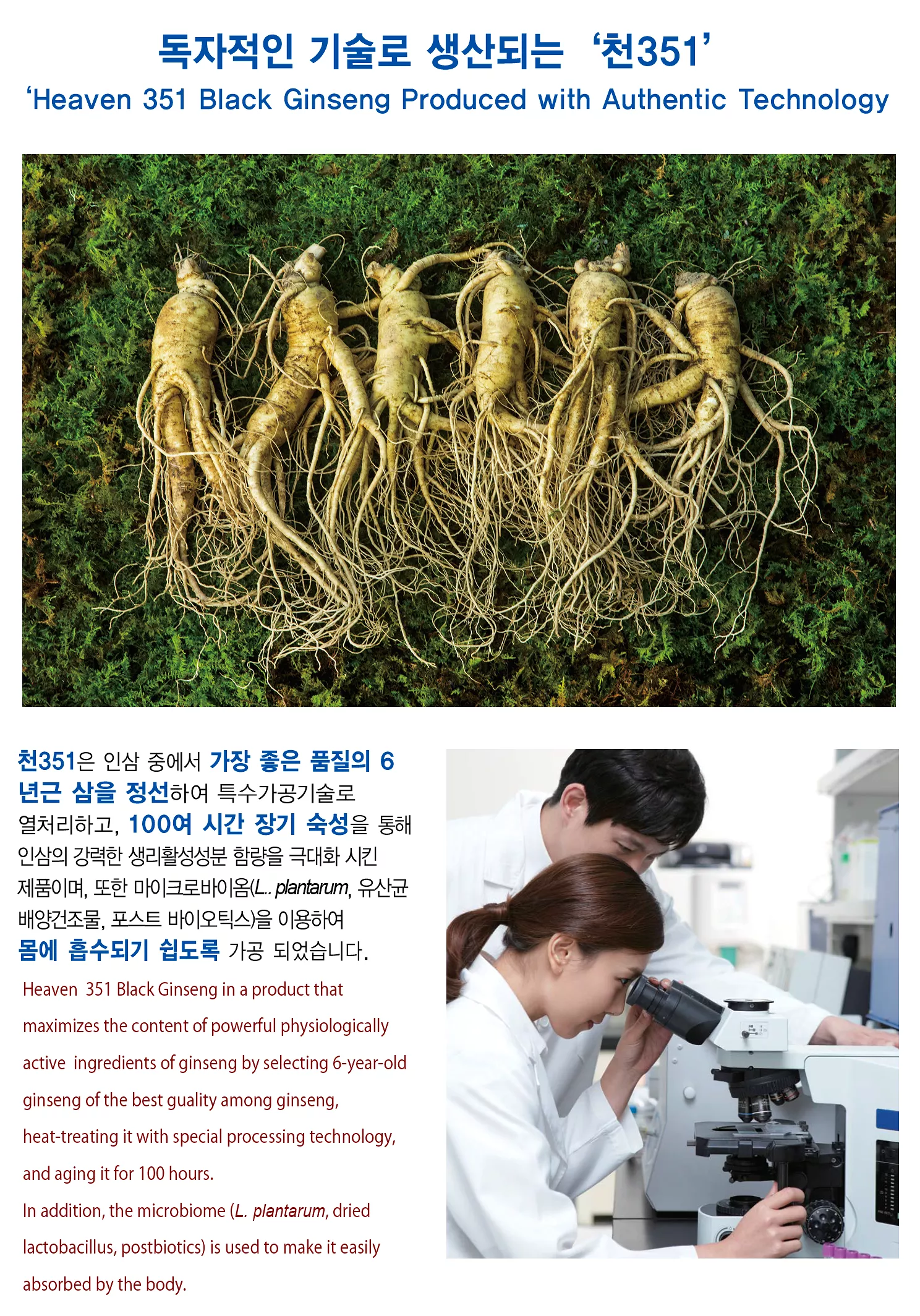 Heaven Grade 351 Black Ginseng Rootlet Roots 6 Pieces Premium Korean 6 Years Old Health Supplements Foods Gifts